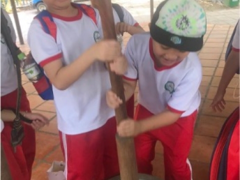 Chương trình hoạt động trải nghiệm để trưởng thành tại trường Song Ngữ Lạc Hồng- Biên Hòa 