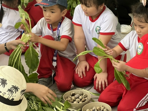 Train to Grow up Trường Song Ngữ Lạc Hồng